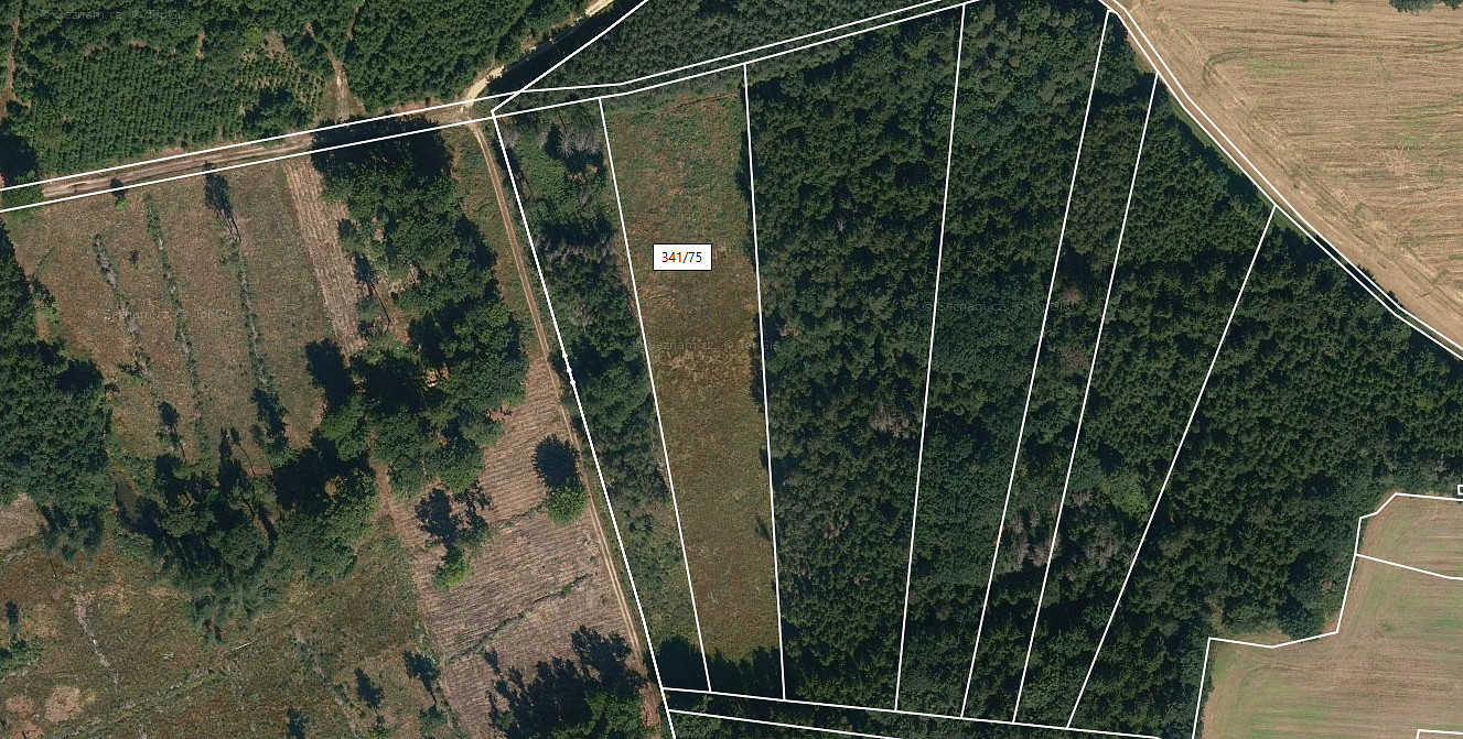 Prodej lesa 8 547 m²