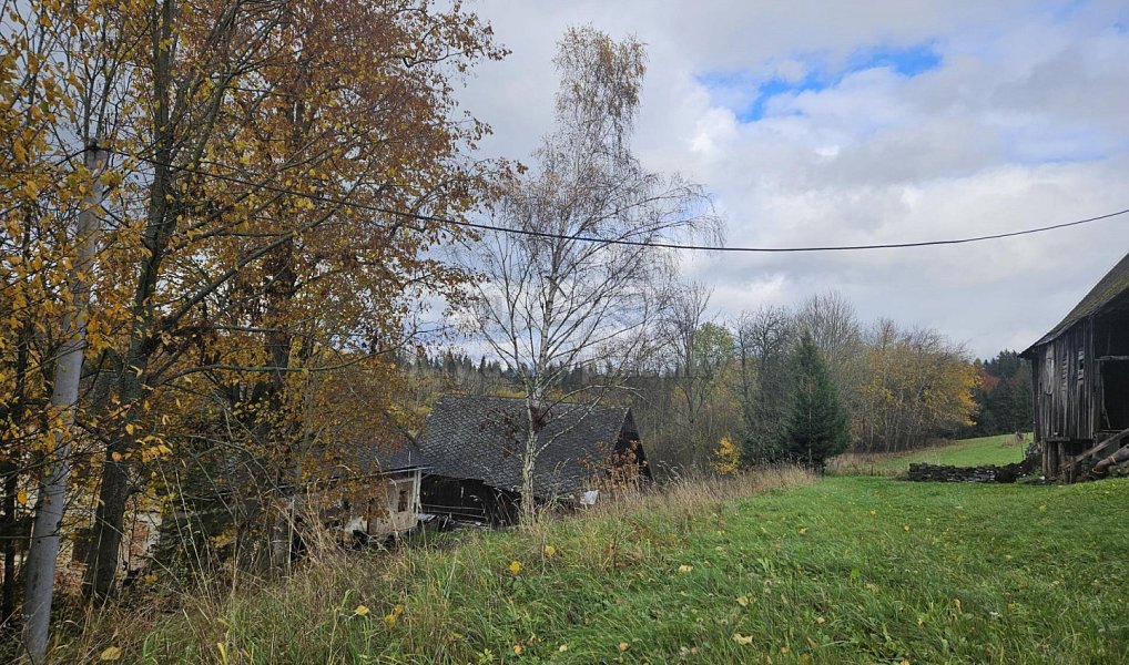 Prodej louky 1 636 m², Hanušovice – náhled fotky 6