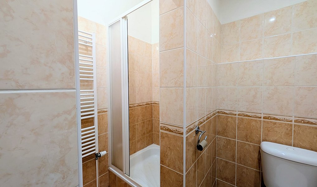 Pronájem bytu 3+kk 68 m², Peruc – náhled fotky 12