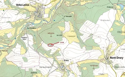 Dražba lesa 953 m², Velká Lečice