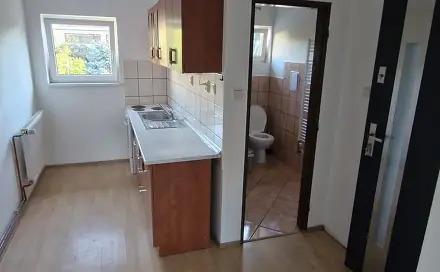 Pronájem bytu 1+kk 23 m², Hálkova, Brno - Husovice