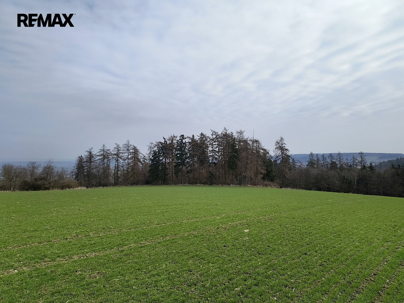 Prodej pole 65 556 m² — photo 3