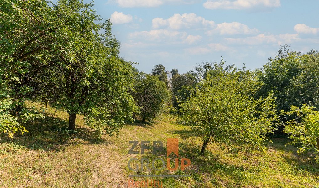 Prodej stavebního pozemku 1 005 m², Borotín – náhled fotky 8