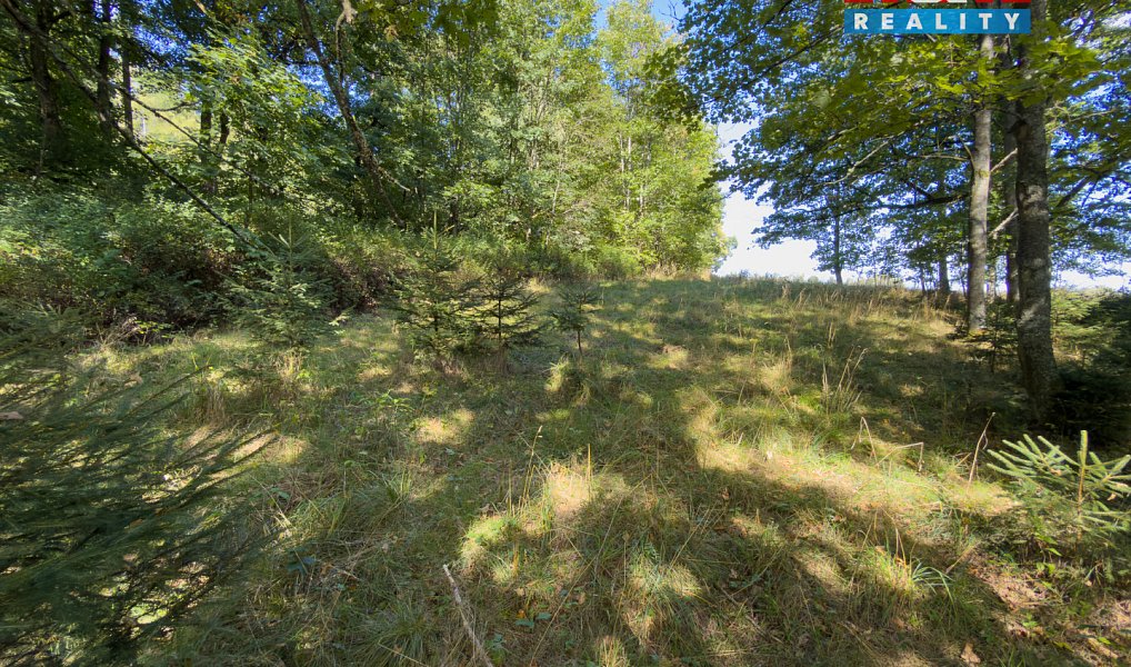 Prodej lesa 1 757 m², Cheb – náhled fotky 10