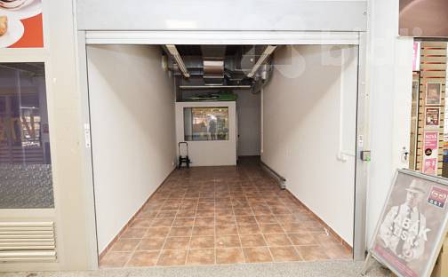 Pronájem obchodních prostor 34 m², Lukášova, Praha 3 - Žižkov