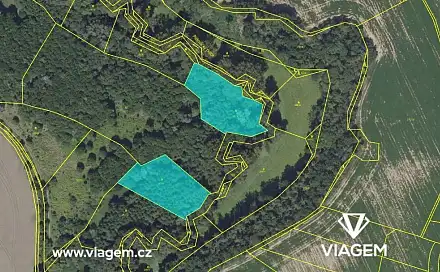 Prodej lesa 5 555 m², Praha