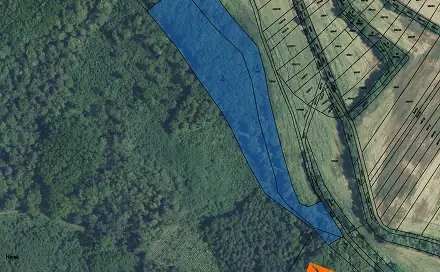 Prodej lesa 1 078 m², Čejkovice, okres Hodonín