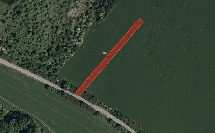 Prodej pole 14 992 m², Velká nad Veličkou, okres Hodonín
