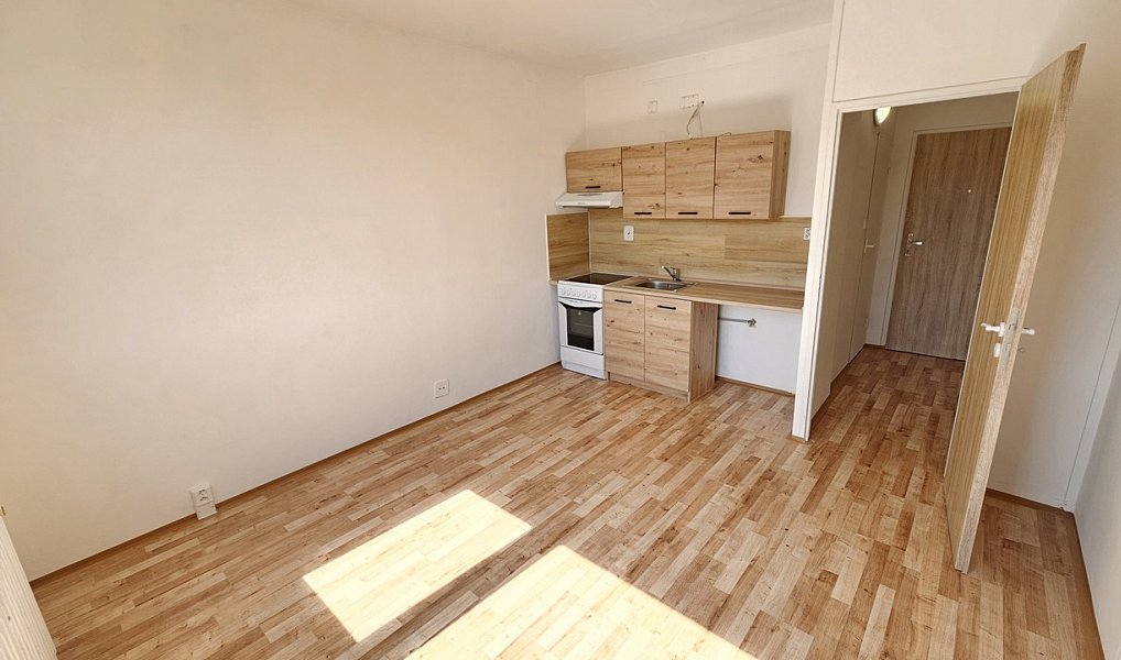 Prodej bytu 1+kk 22 m², Ústí nad Labem – náhled fotky 4