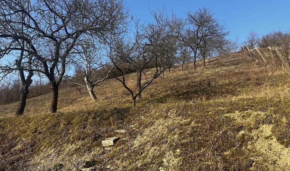 Prodej domu 47 m² s pozemkem 2 956 m², Trnovany – náhled fotky 12