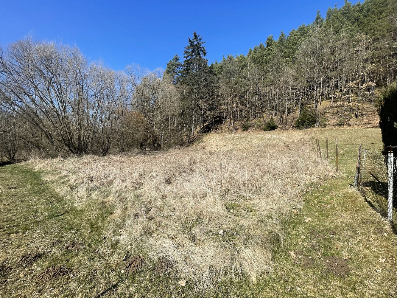 Fotka 11 z 15