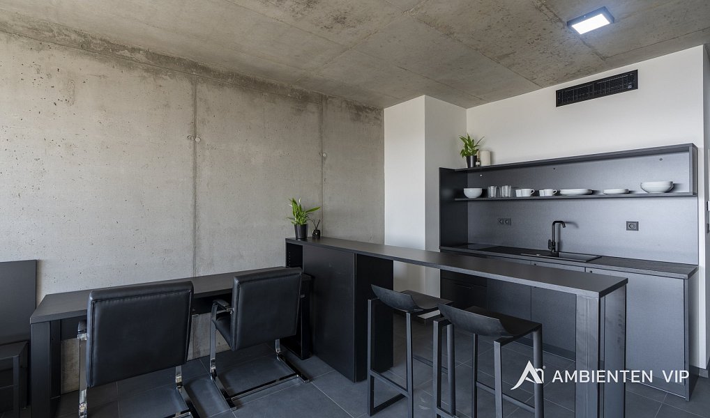 Pronájem bytu 1+kk 38 m², Brno – náhled fotky 8