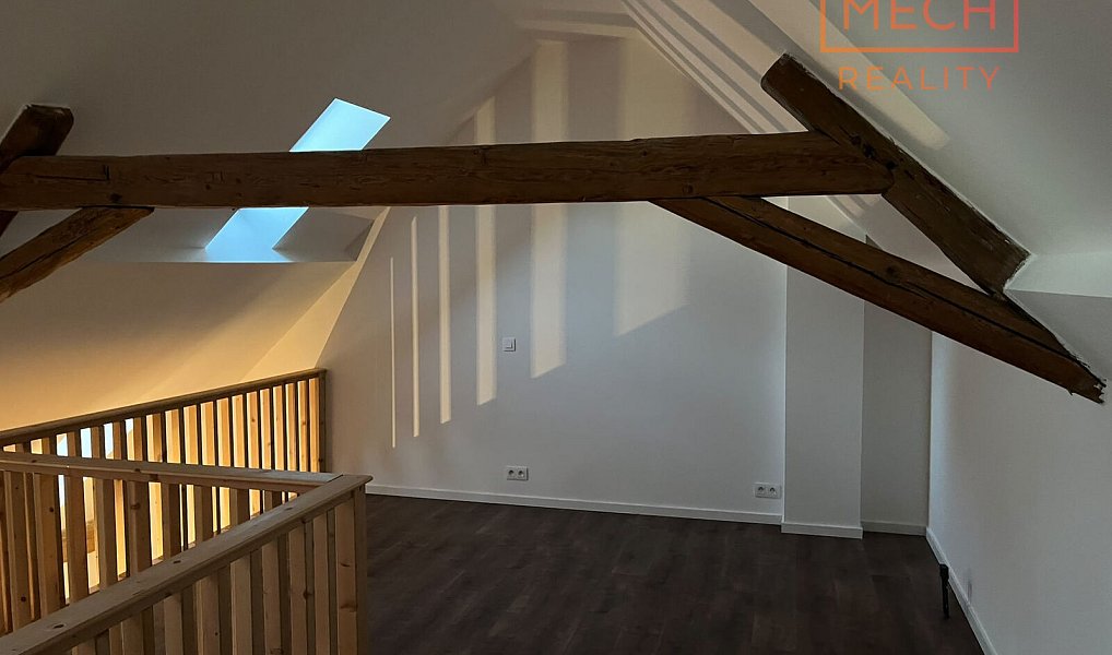 Pronájem bytu 3+kk 63 m², Třebenice – náhled fotky 11