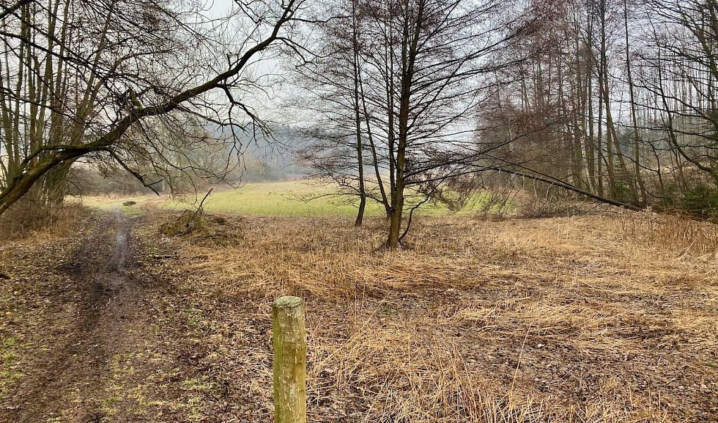 Prodej vodní plochy 8 264 m², Ondřejov – náhled fotky 10