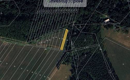 Prodej pole 571 m², Moravský Písek, okres Hodonín