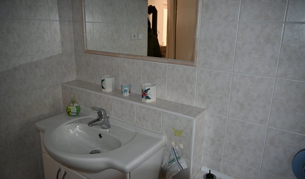 Prodej domu 302 m² s pozemkem 800 m², Oborná – náhled fotky 48