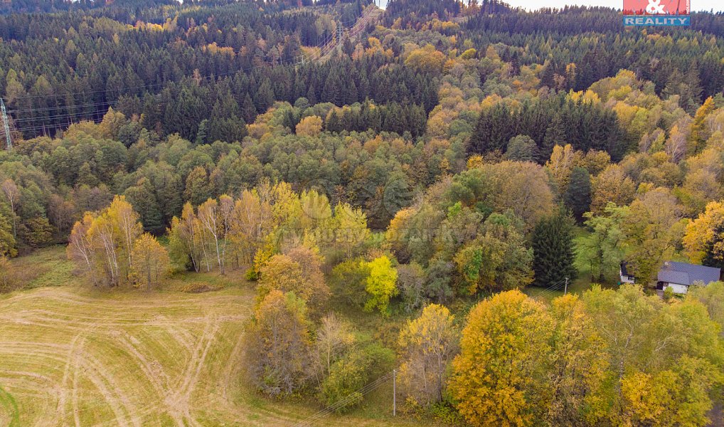 Prodej zahrady 4 531 m², Bernartice – náhled fotky 8