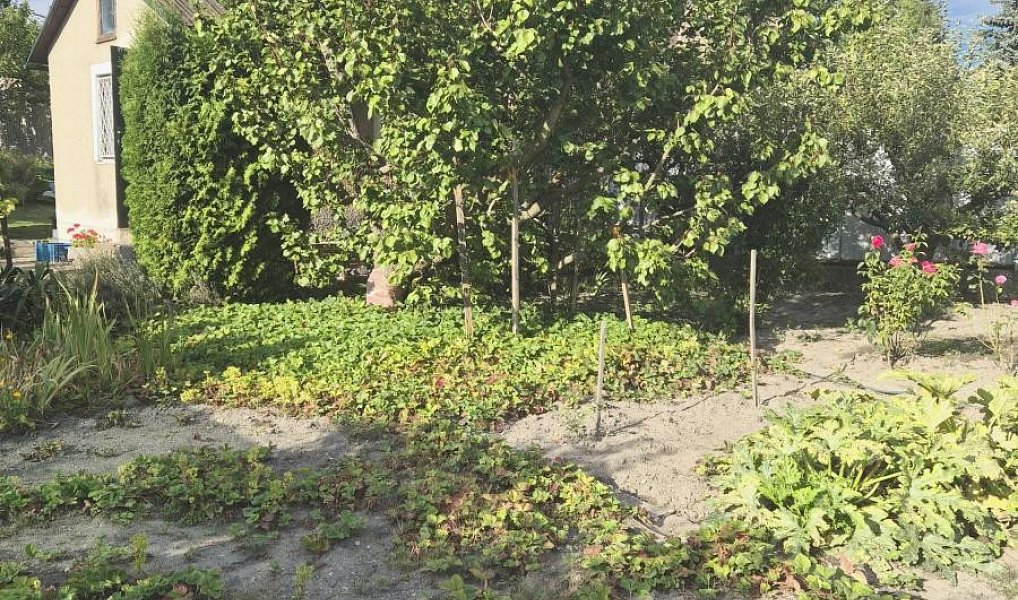 Prodej chaty/chalupy 20 m² s pozemkem 387 m², Kladno – náhled fotky 11