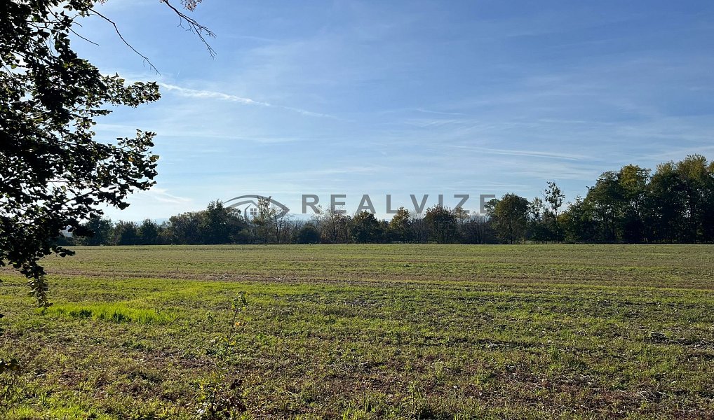 Prodej stavebního pozemku 3 531 m², České Budějovice – náhled fotky 3
