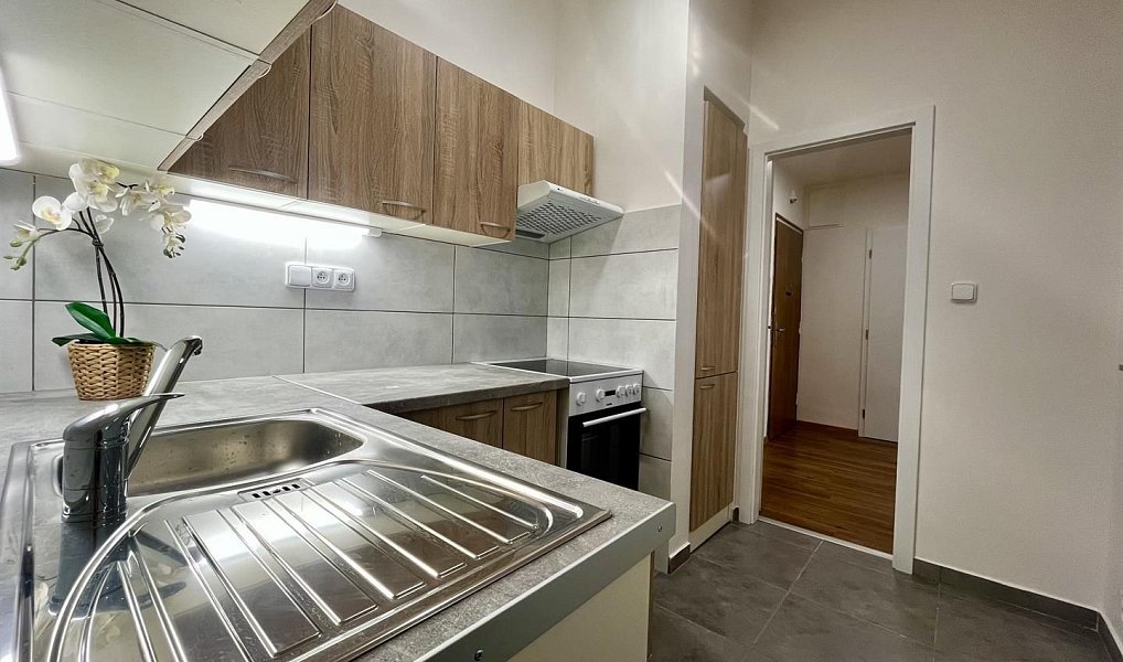 Pronájem bytu 2+1 50 m², Brno – náhled fotky 5