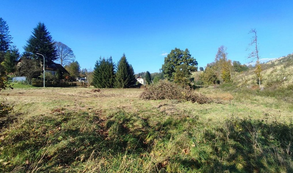 Prodej zahrady 2 666 m², Staré Buky – náhled fotky 5