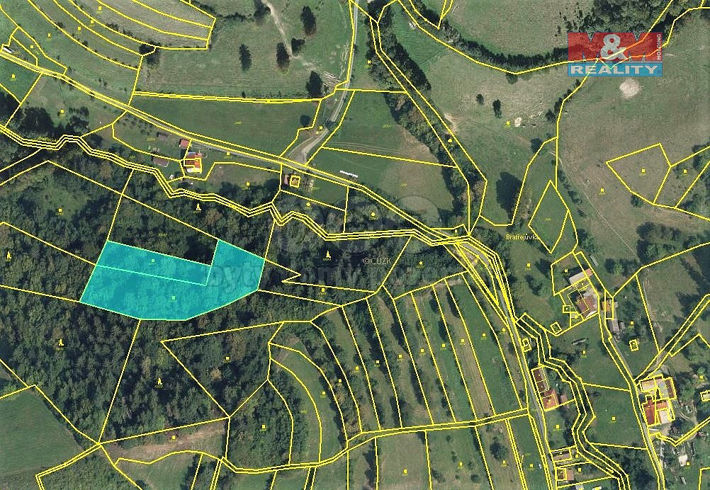 Prodej lesa 5 661 m² – fotografie 3