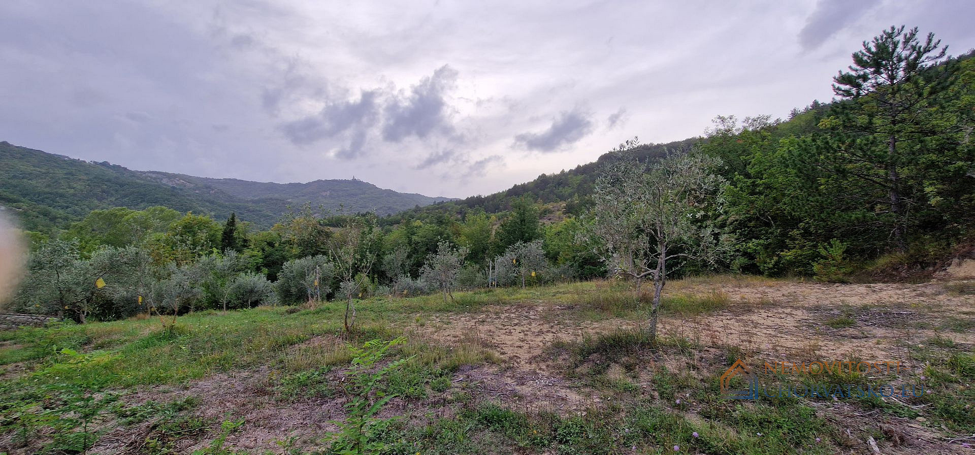 Prodej stavebního pozemku 9 054 m² - Widok 4