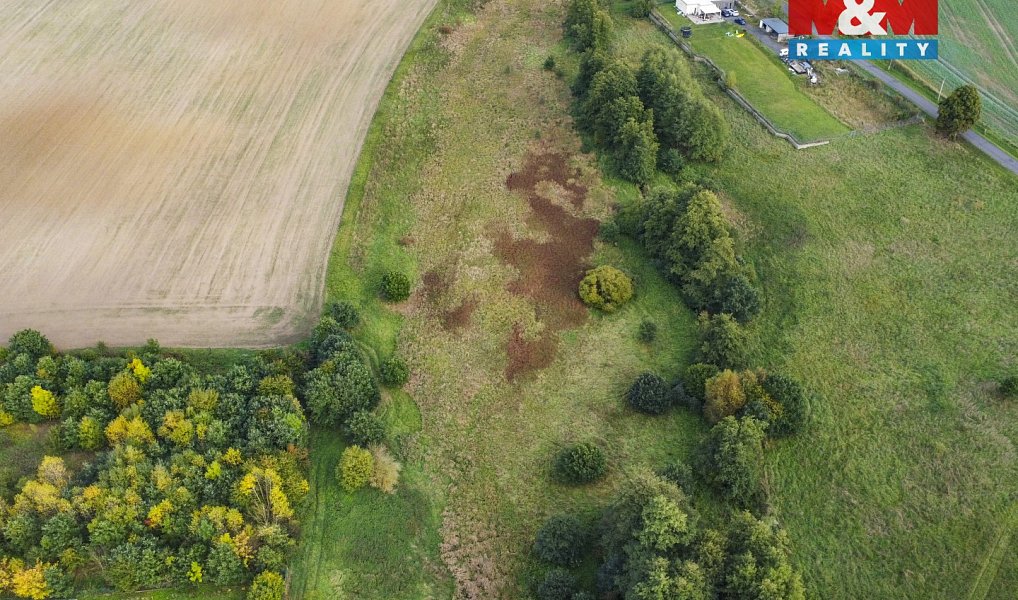 Prodej louky 8 900 m², Františkovy Lázně – náhled fotky 16
