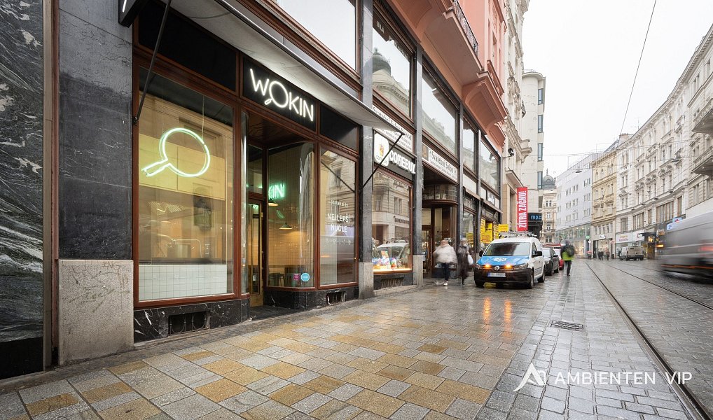 Prodej obchodních prostor 494 m², Brno – náhled fotky 44