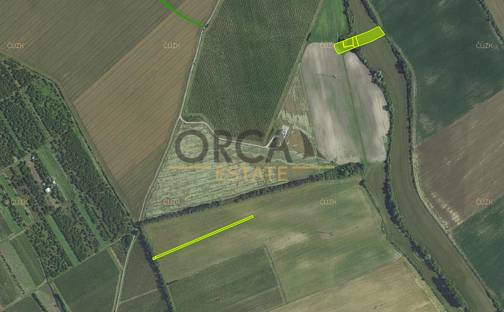 Prodej pole 7 788 m², Prušánky, okres Hodonín