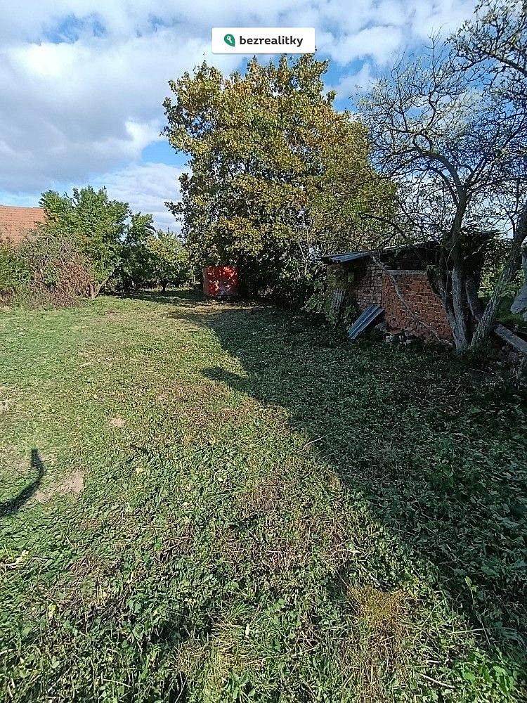 Fotka 7 z 16