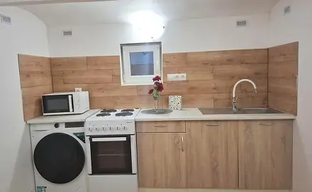 Prodej bytu atypického 62 m², Rokycanova, Brno - Židenice