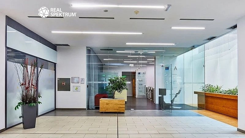 Pronájem kanceláře 374 m² – fotografie 3