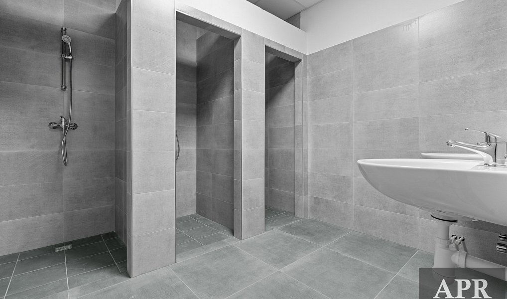 Pronájem skladovacích prostor 2 000 m², Veselí nad Moravou – náhled fotky 13