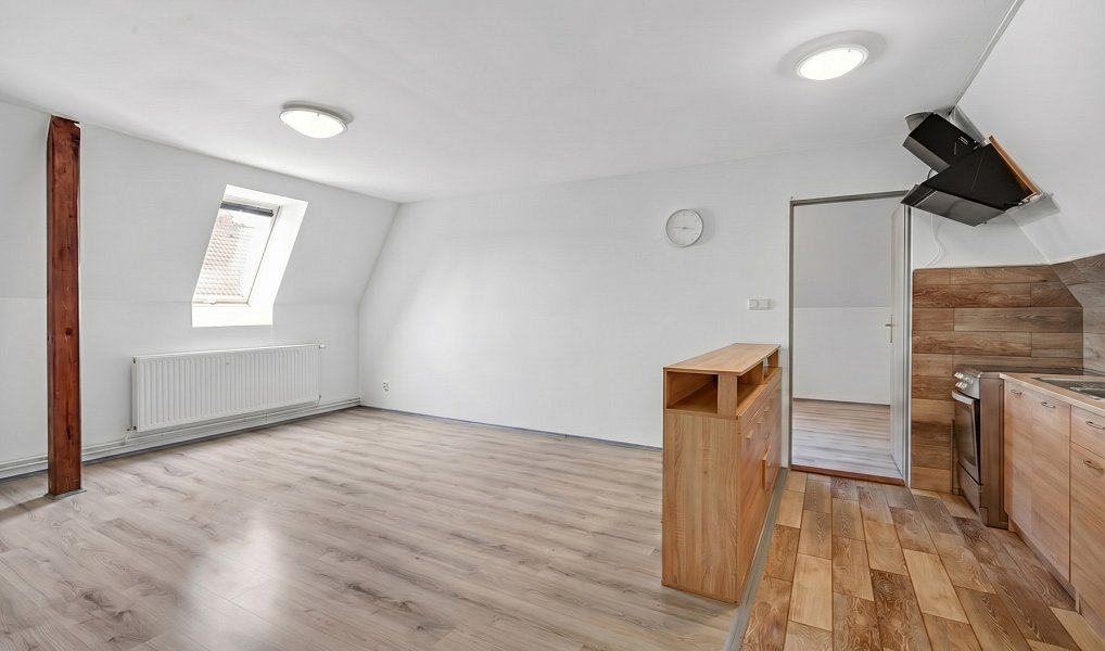 Prodej domu 328 m² s pozemkem 399 m², Hostomice – náhled fotky 18