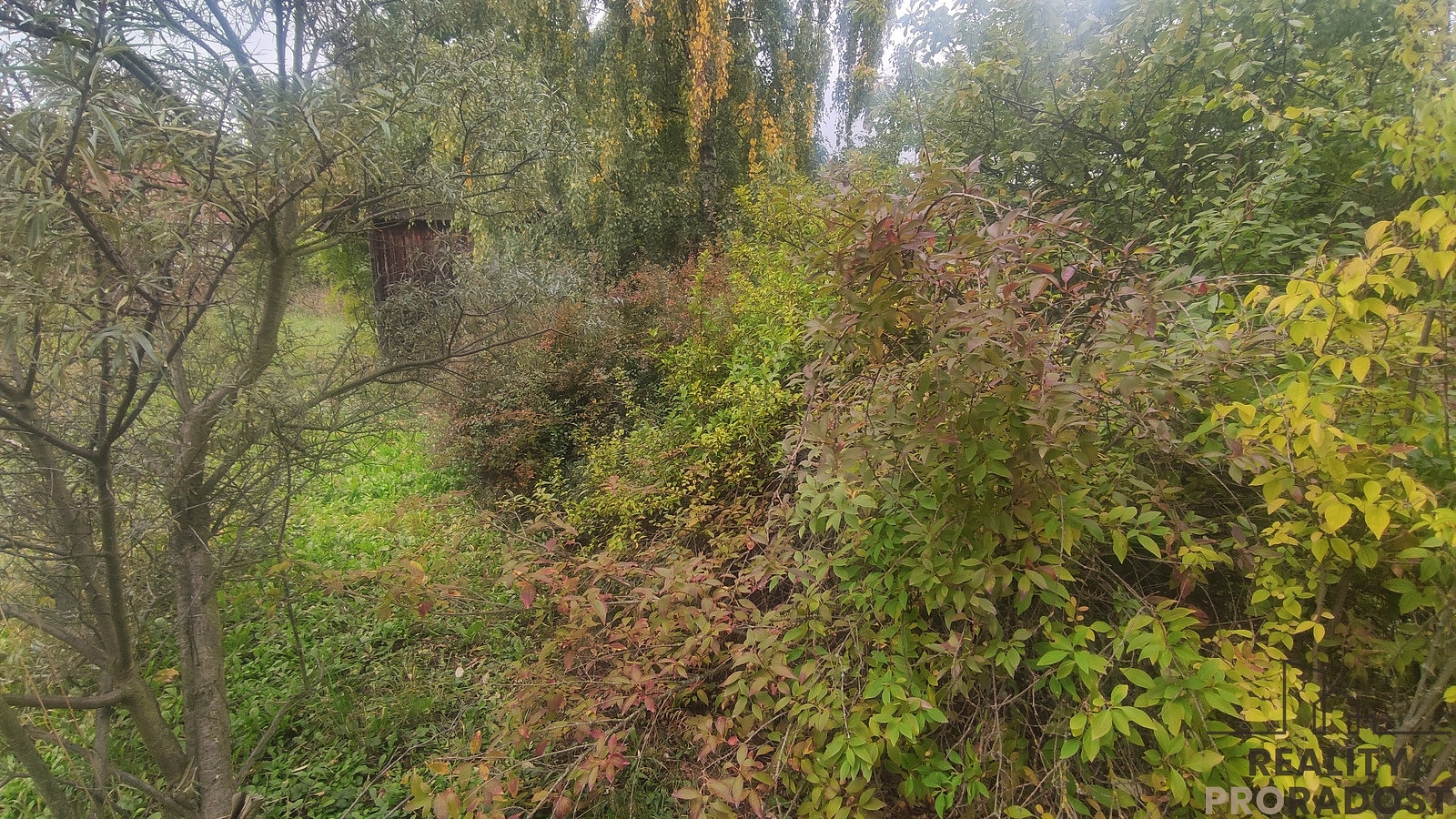 Prodej stavebního pozemku 751 m² – fotografie 5