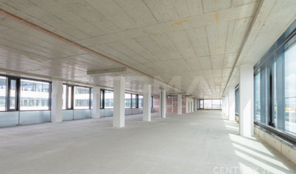 Pronájem kanceláře 390 m², Praha – náhled fotky 2