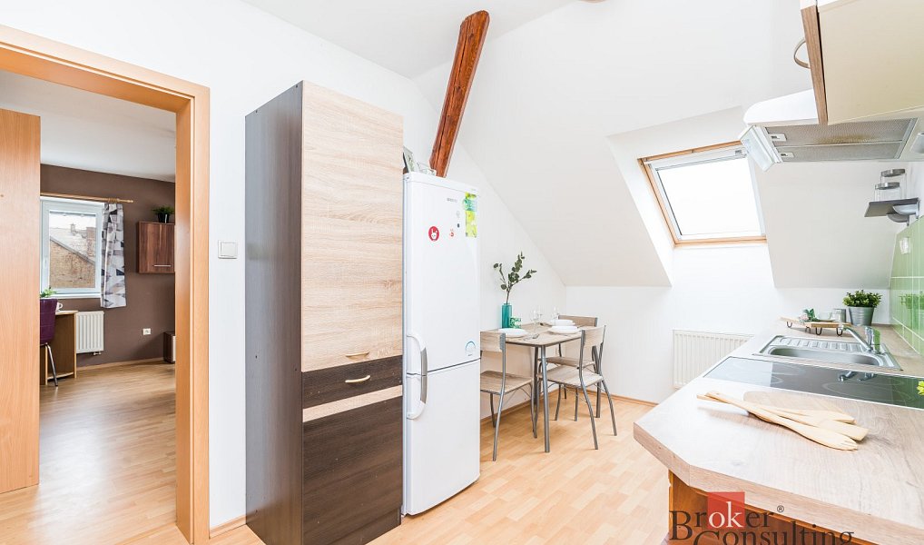 Prodej bytu 1+1 41 m², Třebechovice pod Orebem – náhled fotky 8