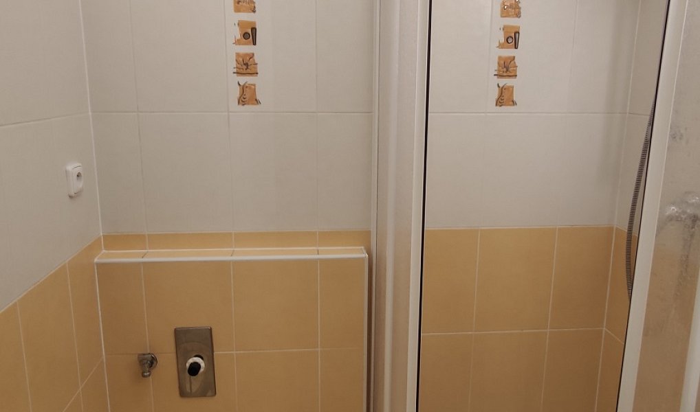 Prodej bytu 1+kk 30 m², Praha – náhled fotky 5