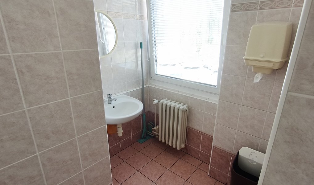 Prodej komerčního objektu (jiného typu) 1 360 m², Třebíč – náhled fotky 13