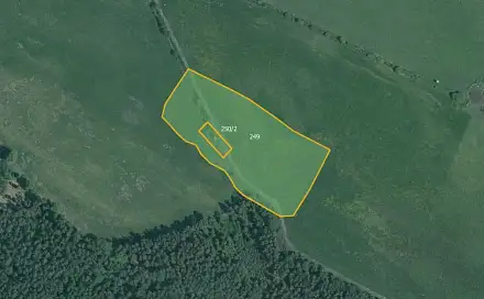 Prodej louky 15 538 m², Hamr, okres Jindřichův Hradec