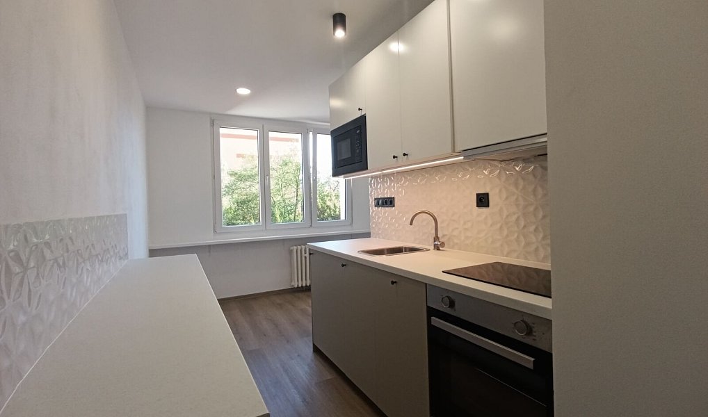 Pronájem bytu 1+kk 20 m², Ústí nad Labem – náhled fotky 3