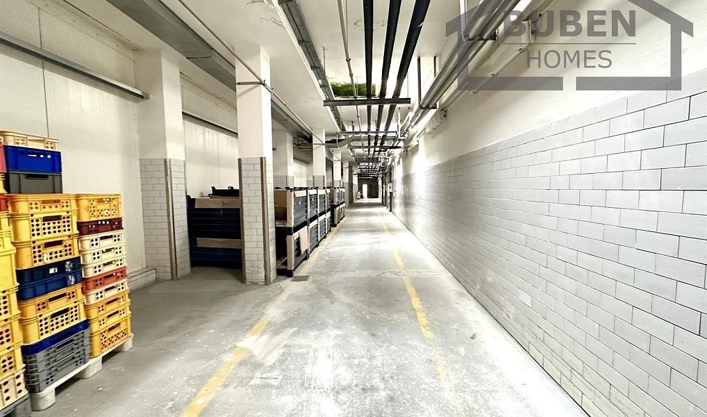 Prodej výrobních prostor 11 180 m², Lom u Tachova – náhled fotky 6