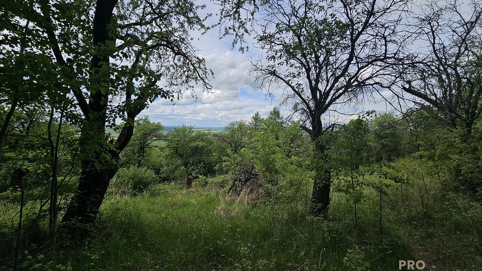 Prodej pozemku 4 253 m² – pohled 2