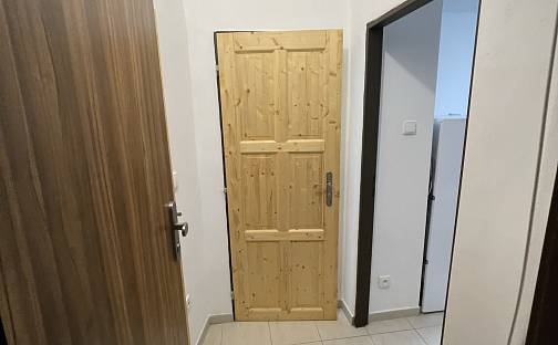 Pronájem bytu 1+kk 41 m², Michelská, Praha 4 - Michle