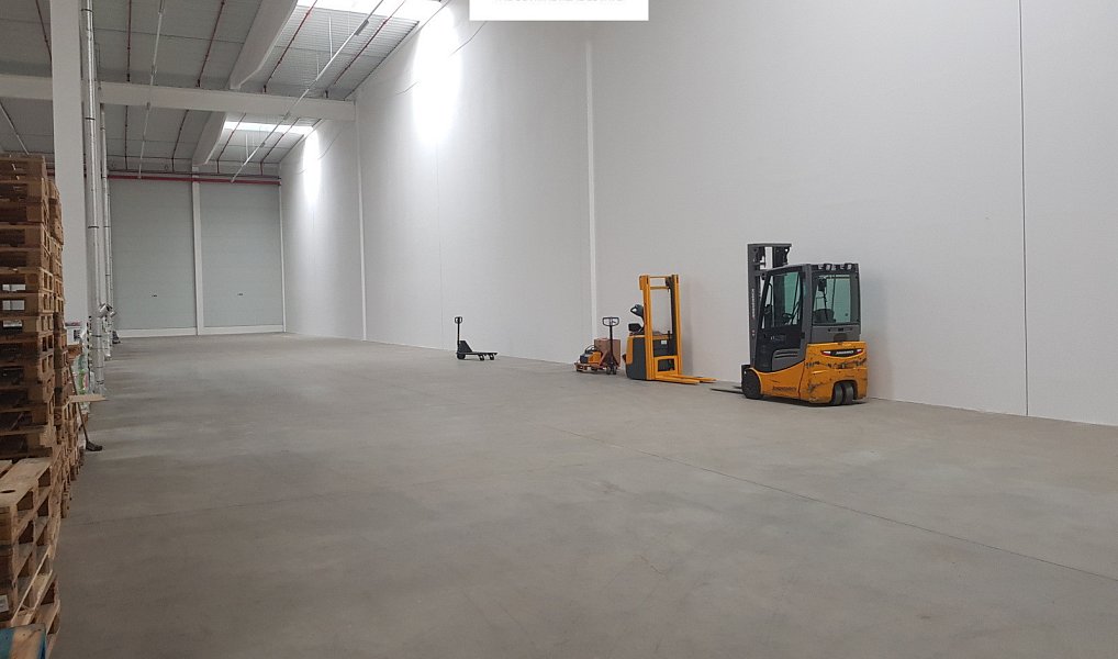 Pronájem skladovacích prostor 1 700 m², Hněvotín – náhled fotky 4