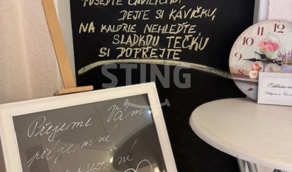 Prodej obchodních prostor 1 400 m², Český Těšín – náhled fotky 15