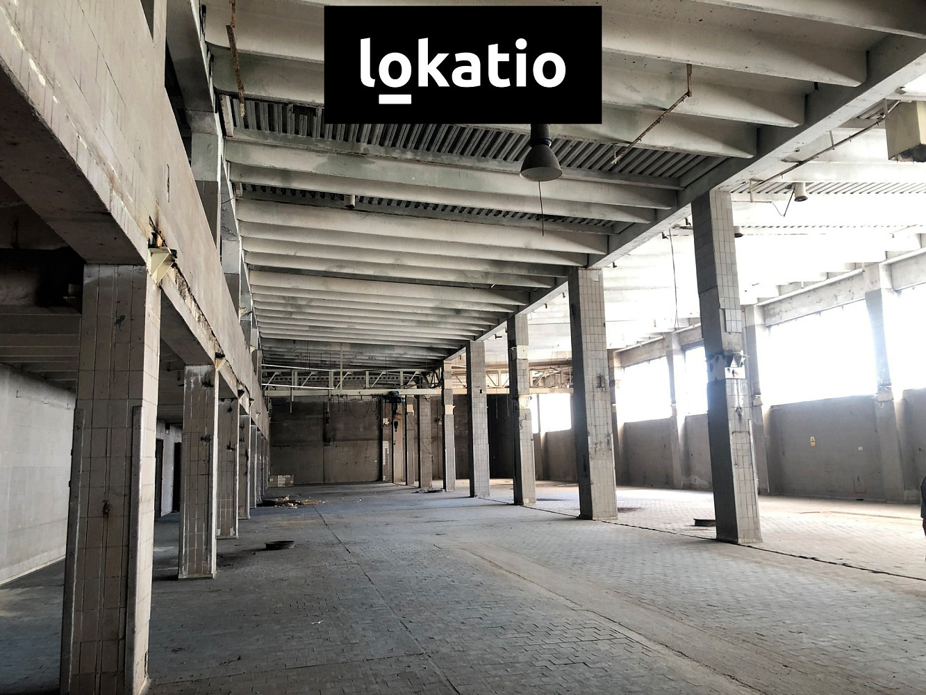 Pronájem skladovacích prostor 3 000 m² — photo 3