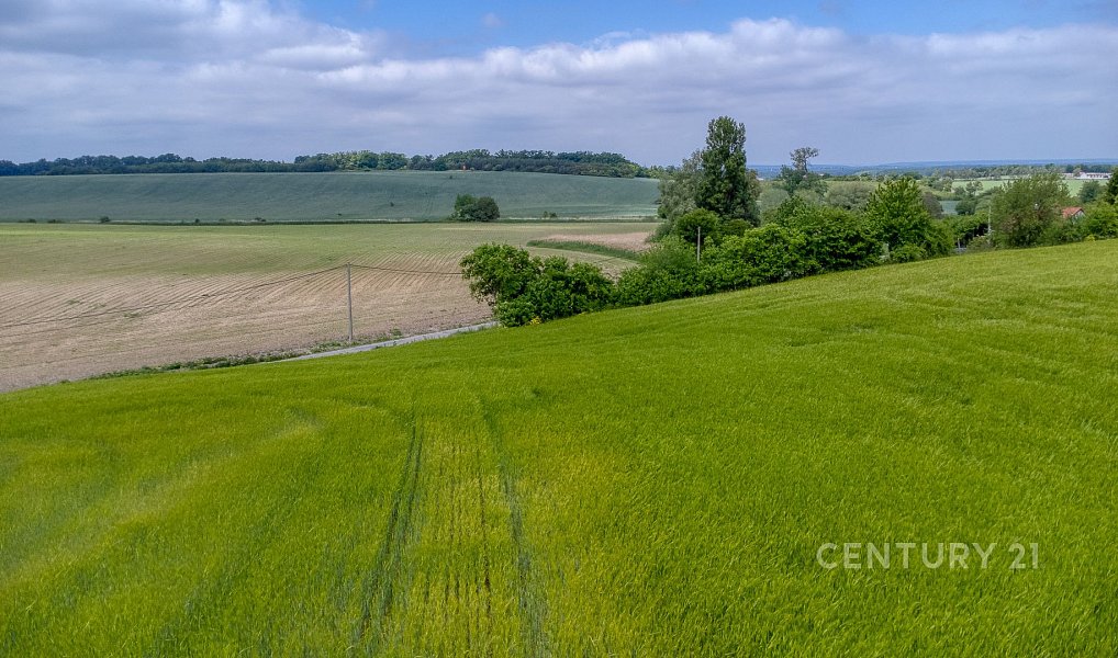 Prodej stavebního pozemku 1 510 m², Chrást – náhled fotky 5