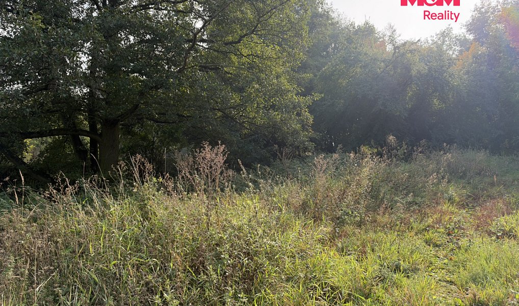 Prodej pozemku 2 259 m², Údlice – náhled fotky 8